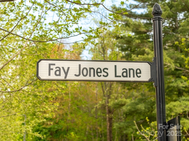 20 Fay Jones Ln, Black Mountain, NC 28711