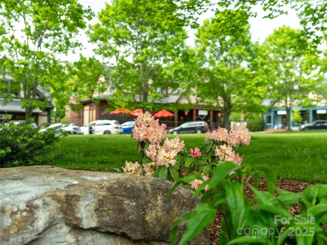20 Fay Jones Ln, Black Mountain, NC 28711