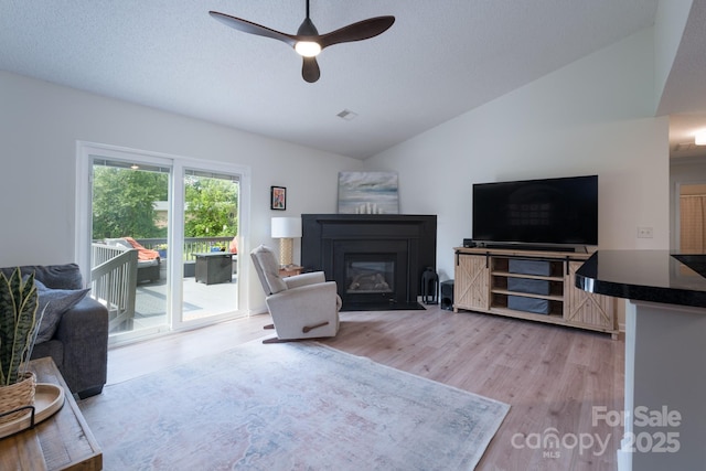 744 Chipmeadow Ln, York, SC 29745 - living room featuring lofted ceiling, light wood-style flooring, a ceiling fan, and a glass covered fireplace