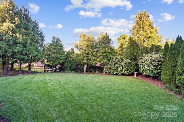 view of yard