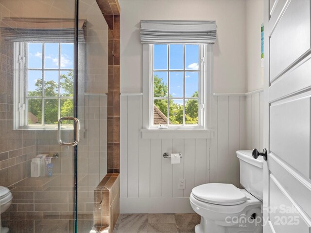 full bathroom with a shower stall, toilet, and a wealth of natural light