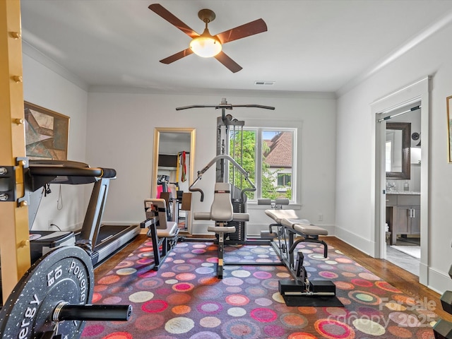 workout room featuring ceiling fan, visible vents, crown molding, wood finished floors, and baseboards