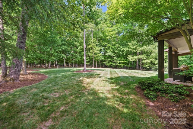 view of yard