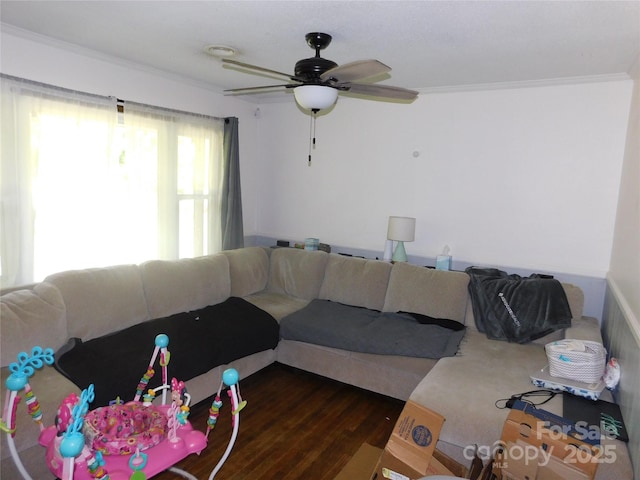 living area featuring a ceiling fan, crown molding, and dark wood-type flooring