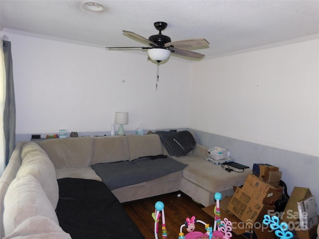 living room with crown molding and ceiling fan