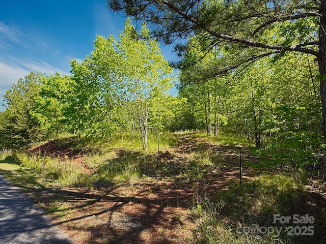 0 Cross Creek Dr Unit 69, 70, Rutherfordton, NC 28139 - photo 2