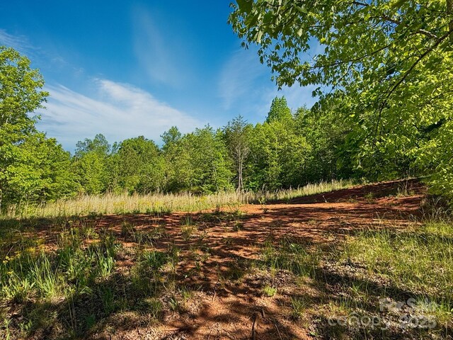 0 Cross Creek Dr Unit 69, 70, Rutherfordton, NC 28139 - photo 3