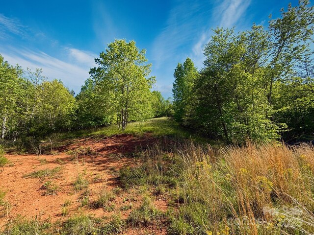 0 Cross Creek Dr Unit 69, 70, Rutherfordton, NC 28139 - photo 6
