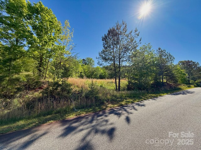 0 Cross Creek Dr Unit 69, 70, Rutherfordton, NC 28139 - photo 8
