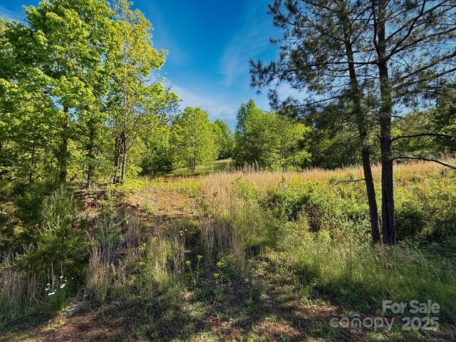 0 Cross Creek Dr Unit 69, 70, Rutherfordton, NC 28139 - photo 9