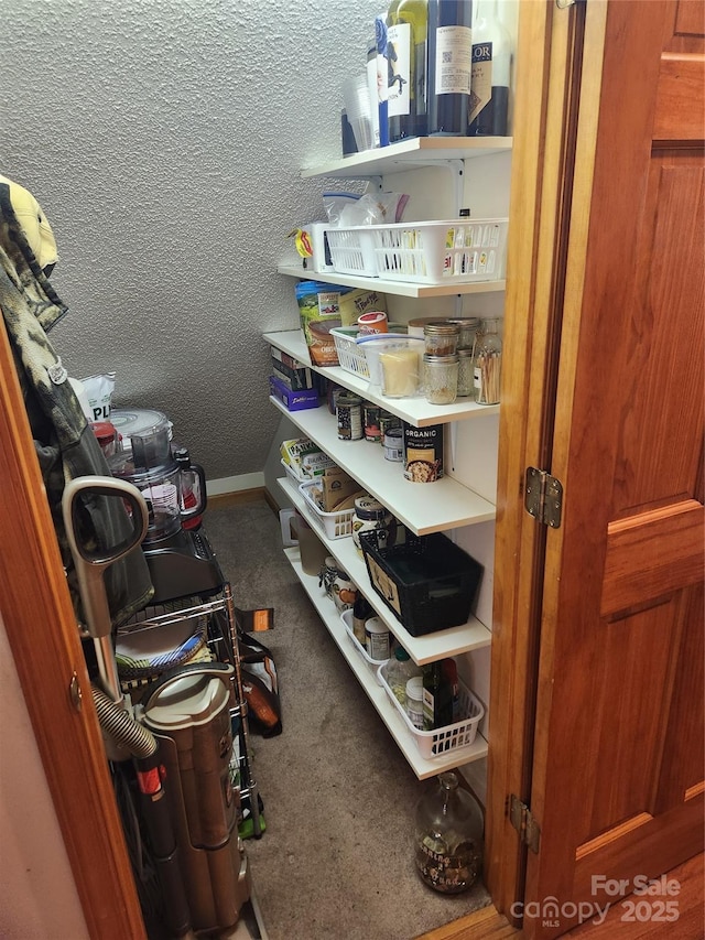 107 Buckner Dr, Roan Mountain, TN 37687 - view of storage area