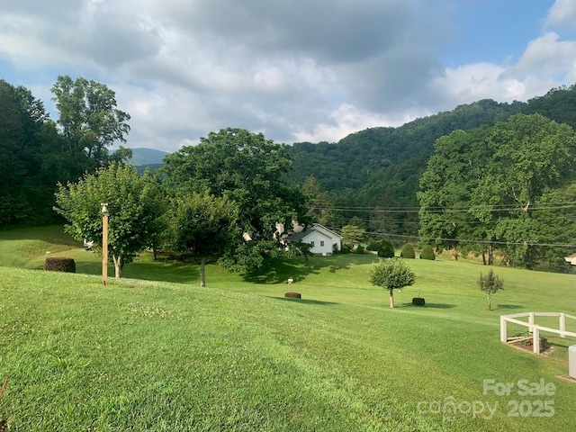 107 Buckner Dr, Roan Mountain, TN 37687 - photo 4