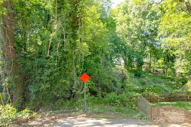 166 Elm St, Mooresville, NC 28115 - photo 3