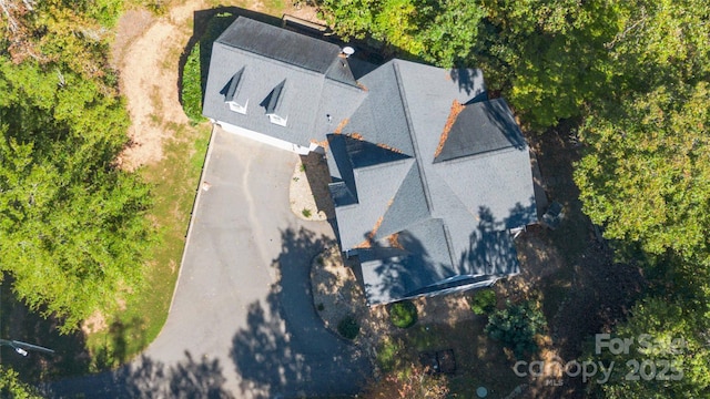 bird's eye view