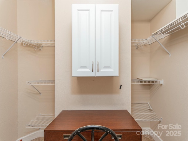 54 Sapling Ln, Waynesville, NC 28786 - view of spacious closet