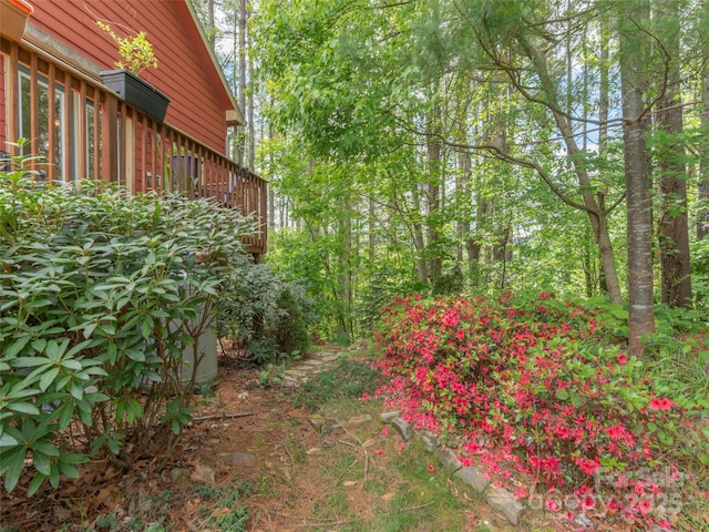 54 Sapling Ln, Waynesville, NC 28786 - view of yard