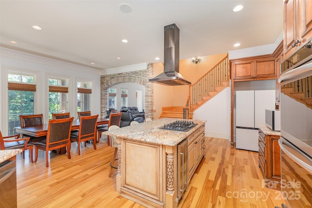 277 Tradition Dr, Mount Gilead, NC 27306 - kitchen featuring appliances with stainless steel finishes, ornamental molding, island exhaust hood, and light wood-style floors