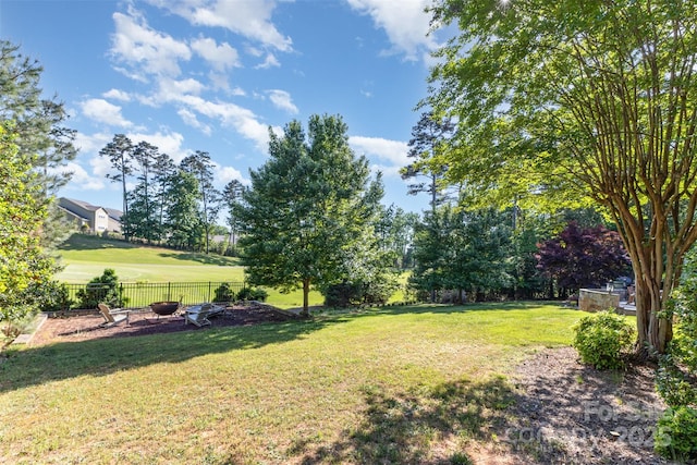 277 Tradition Dr, Mount Gilead, NC 27306 - view of yard with fence