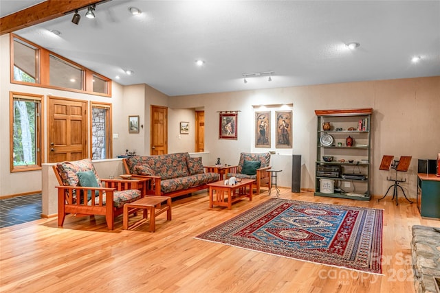 461 Sugar Hollow Rd, Fairview, NC 28730 - living area featuring rail lighting, wood finished floors, and vaulted ceiling
