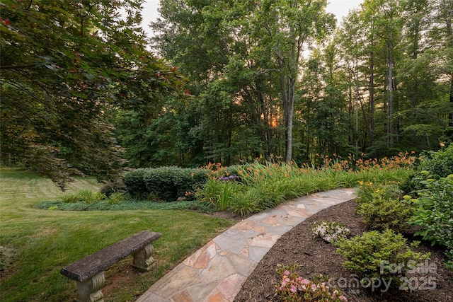 461 Sugar Hollow Rd, Fairview, NC 28730 - view of green lawn