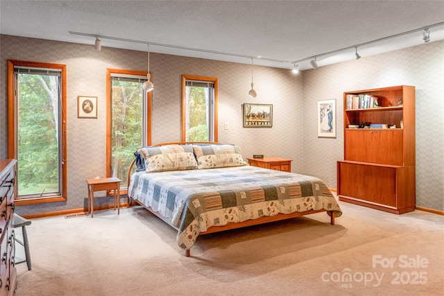 461 Sugar Hollow Rd, Fairview, NC 28730 - bedroom featuring track lighting, wallpapered walls, and carpet floors