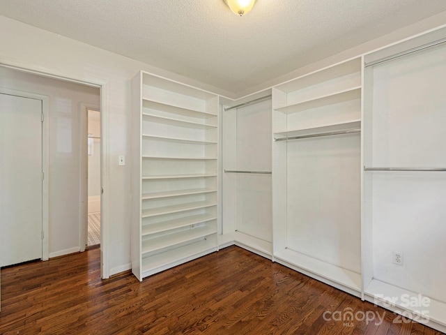 spacious closet featuring dark wood-style floors