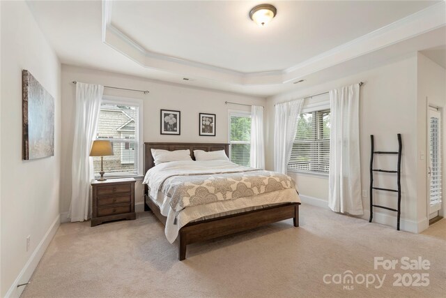 5422 Shannon Bell Ln, Charlotte, NC 28277 - bedroom featuring a tray ceiling, light colored carpet, multiple windows, ornamental molding, and baseboards