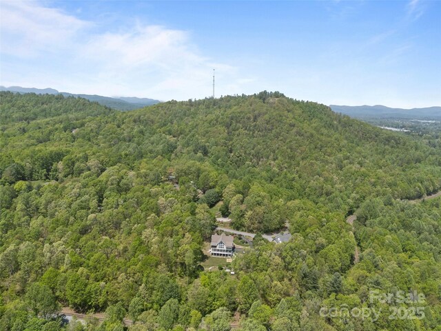 410 Lamp Post Dr, Zirconia, NC 28790 - photo 19