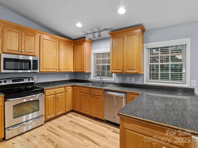 kitchen featuring dark countertops, a sink, light wood finished floors, a wealth of natural light, and stainless steel appliances