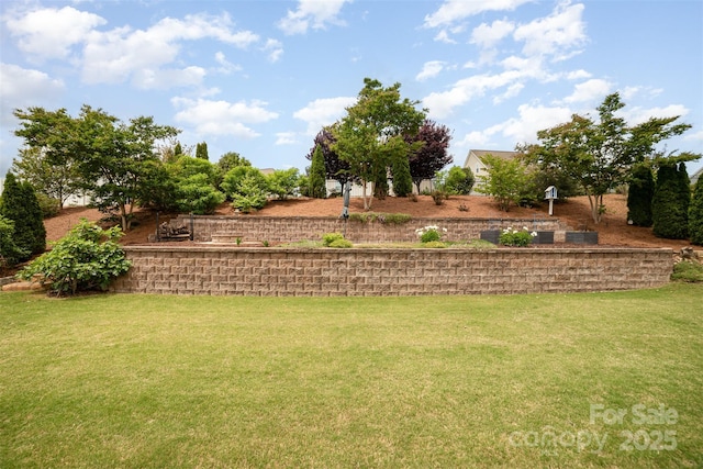 view of yard