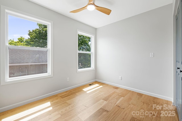 4 Chestnut Ridge Ave, Asheville, NC 28804 - photo 19
