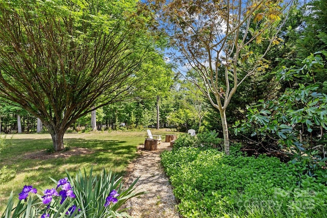 view of home's community with a lawn