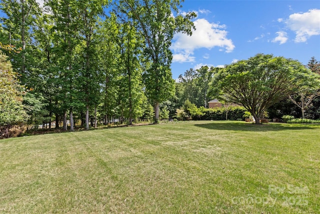 view of yard