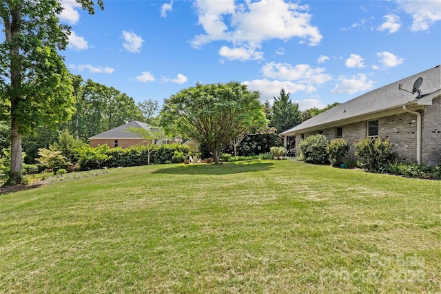 view of yard