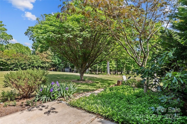 907 Lingfield Ln, Waxhaw, NC 28173 - view of grassy yard