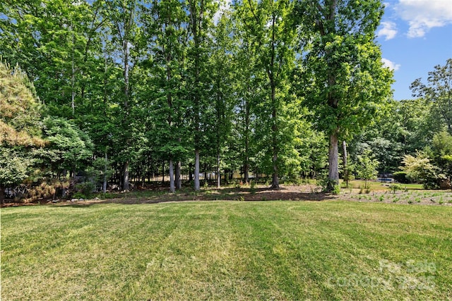 907 Lingfield Ln, Waxhaw, NC 28173 - view of grassy yard