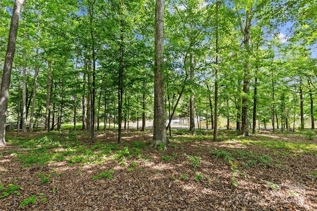 907 Lingfield Ln, Waxhaw, NC 28173 - view of local wilderness