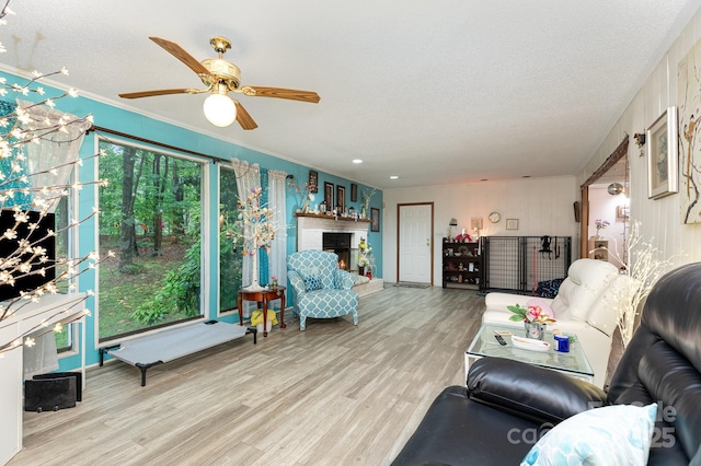 6804 Lineberger Rd, Denver, NC 28037 - living area with wood finished floors, a textured ceiling, a ceiling fan, crown molding, and a fireplace