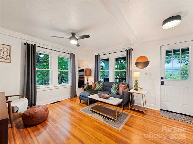 68 Piney Mountain Church Rd, Candler, NC 28715 - living room featuring baseboards, a wealth of natural light, and light wood-type flooring