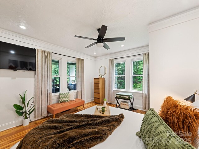 68 Piney Mountain Church Rd, Candler, NC 28715 - bedroom featuring baseboards, multiple windows, and wood finished floors