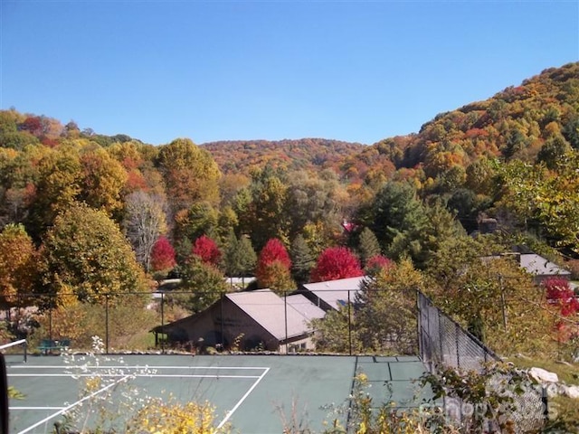 197 Gardenside Rd, Mars Hill, NC 28754 - property view of mountains with a wooded view