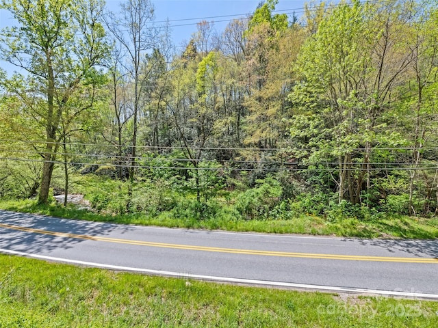 700 Cove Creek Rd, Waynesville, NC 28785 - view of road featuring a view of trees