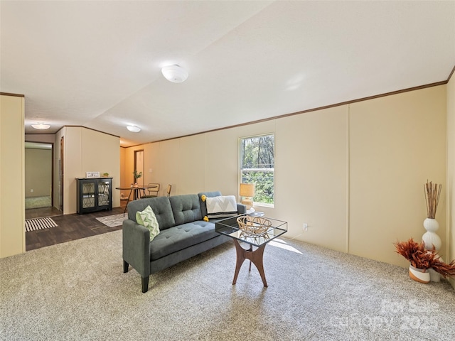 700 Cove Creek Rd, Waynesville, NC 28785 - living room with dark colored carpet and vaulted ceiling