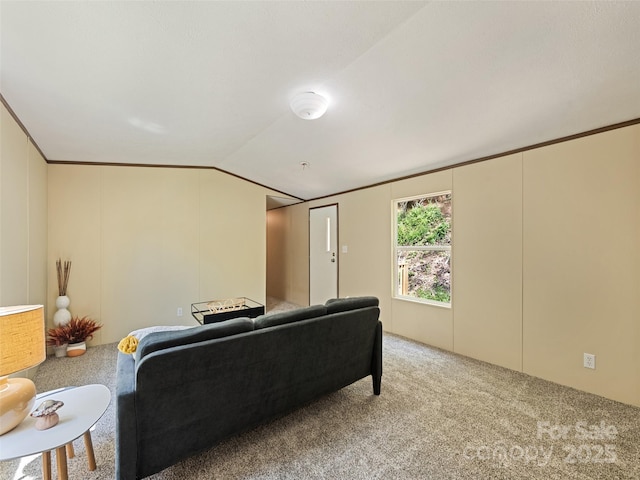 700 Cove Creek Rd, Waynesville, NC 28785 - living room featuring lofted ceiling and light carpet