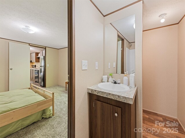 700 Cove Creek Rd, Waynesville, NC 28785 - bathroom with vanity, a textured ceiling, crown molding, and wood finished floors