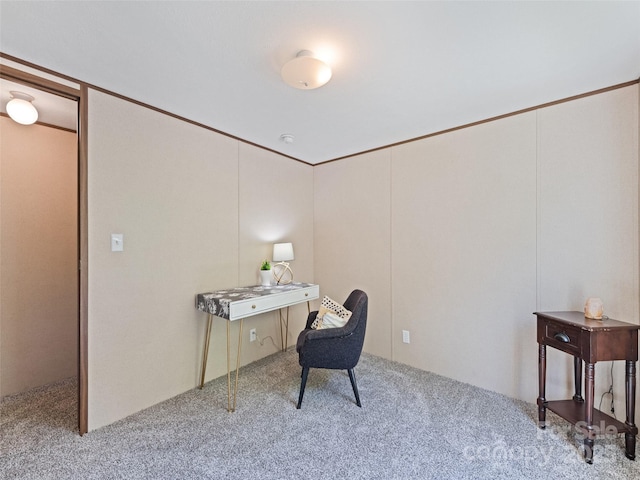 700 Cove Creek Rd, Waynesville, NC 28785 - office with carpet