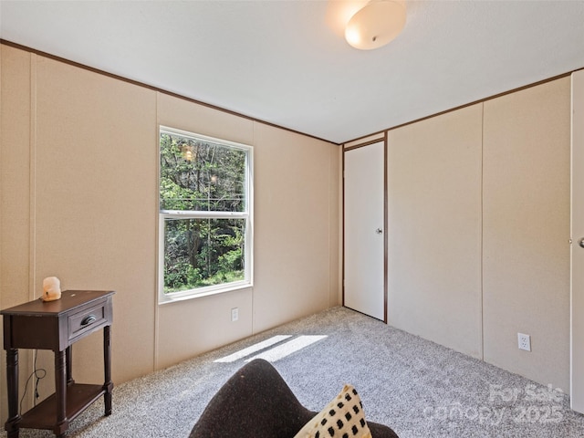 700 Cove Creek Rd, Waynesville, NC 28785 - view of carpeted bedroom