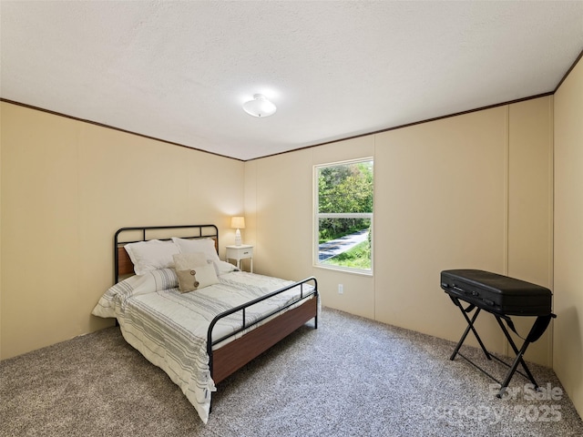 700 Cove Creek Rd, Waynesville, NC 28785 - view of carpeted bedroom