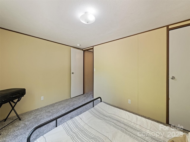 700 Cove Creek Rd, Waynesville, NC 28785 - bedroom with carpet flooring