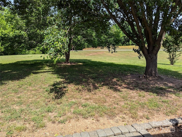 5908 Tanson Trl, Marshville, NC 28103 - photo 21